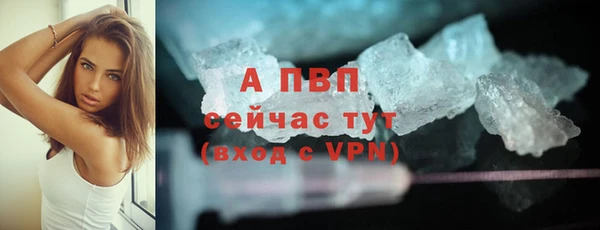 стафф Алексин