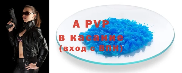 стафф Алексин