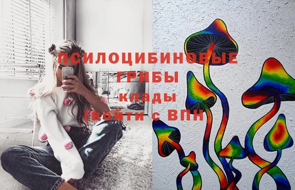 молекула духа Алзамай