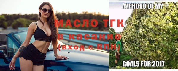 стафф Алексин